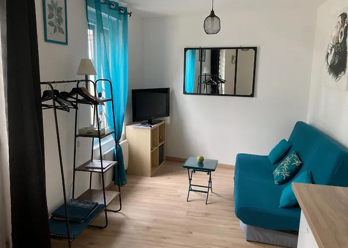Studio Coccoon Proche Beauval